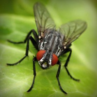 /album/sjoiwe/photolia-a01-jpg/