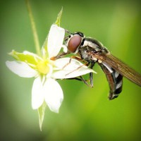 /album/sjoiwe/photolia-a02-jpg/