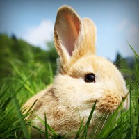 /album/sjoiwe/photolia-a03-jpg/