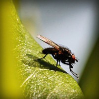 /album/sjoiwe/photolia-a04-jpg/