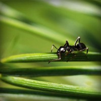 /album/sjoiwe/photolia-a05-jpg/