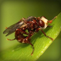 /album/sjoiwe/photolia-a06-jpg/