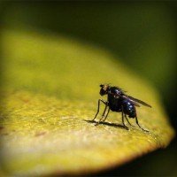 /album/sjoiwe/photolia-a07-jpg/