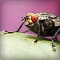 /album/sjoiwe/photolia-a08-jpg/